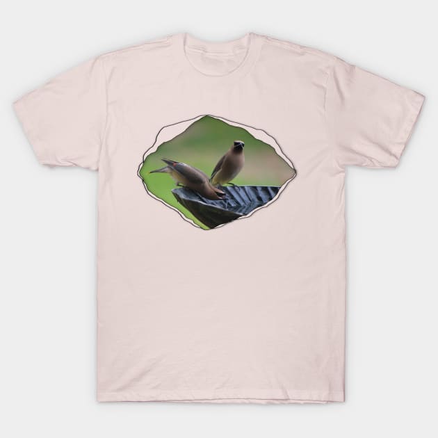 Cedar Waxwing through Torn Cloth T-Shirt by ButterflyInTheAttic